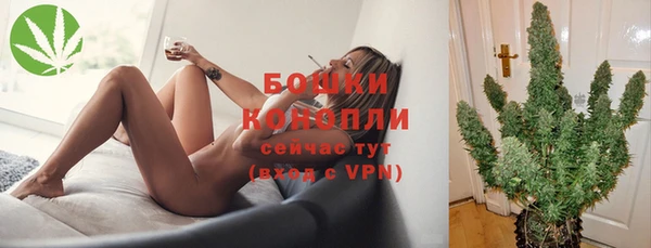 кокс Касимов