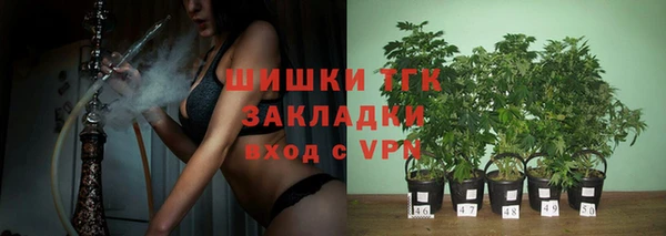 кокс Касимов