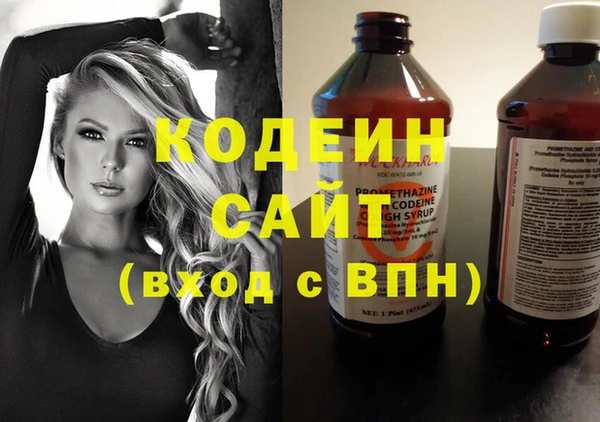 кокс Касимов