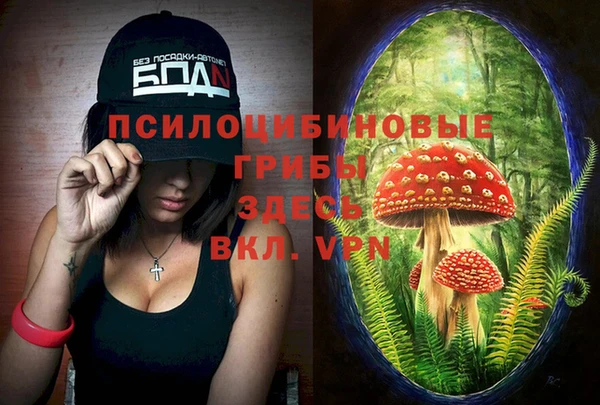 дживик Карпинск