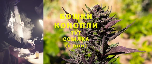 кокс Касимов