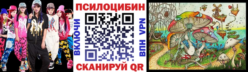 Купить закладки  Туймазы  Галлюциногенные грибы Cubensis 